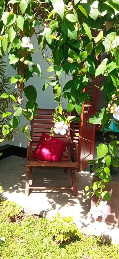 Mandara Rest Bed & Breakfast Hikkaduwa Exterior photo